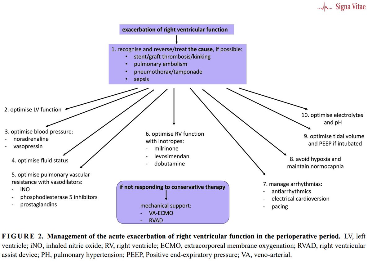 MRE_signavitae's tweet photo. 🫀RV dysfunction occurs in up to 2.9% of cases post-cardiac surgery. 
📄This article reviews current approaches to #diagnosis and management in non-complex #cardiacsurgery cases. 
⚙️Early #mechanicalsupport is key if conservative therapy fails.
#heartfailure https://t.co/rtjPLJ3o9V