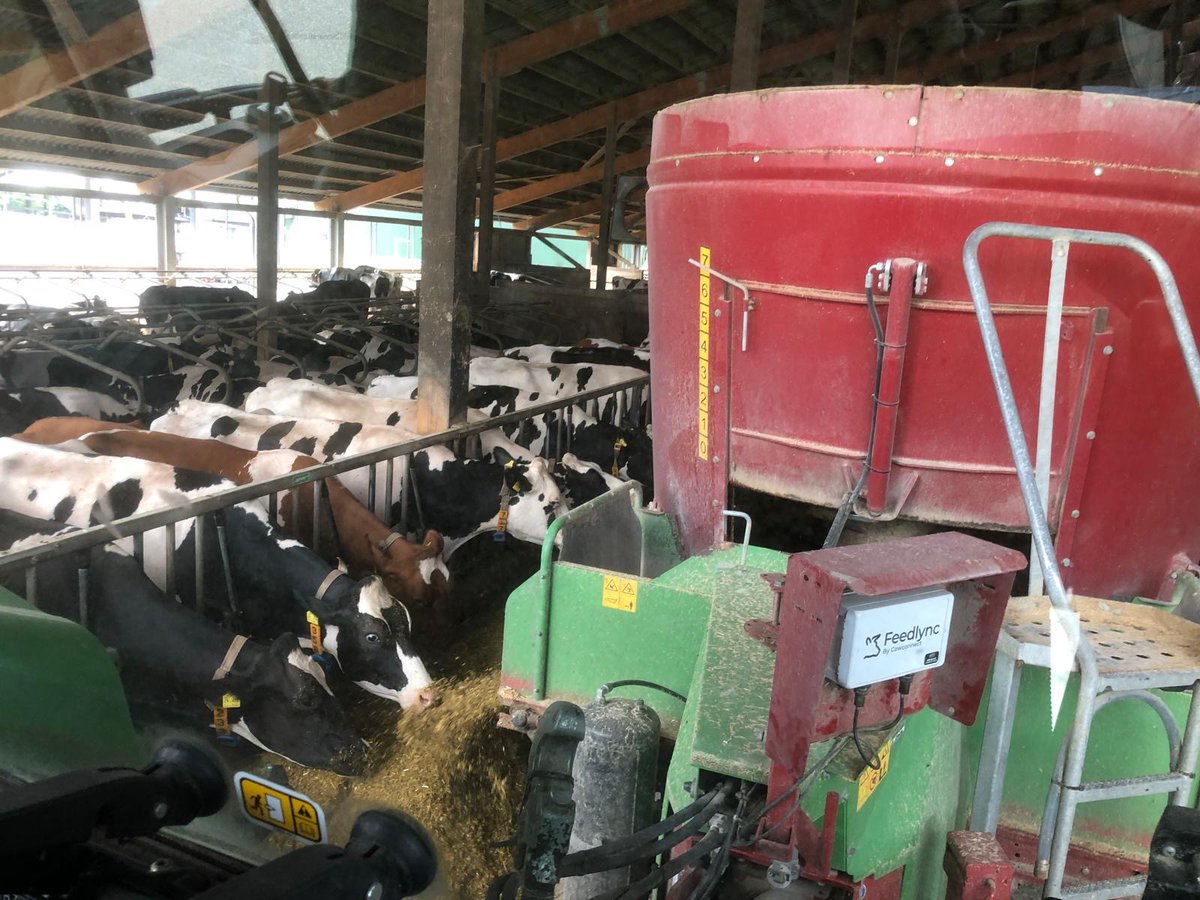 What can Feedlync do for you?

✅Improved feed accuracy 
✅Accurate daily costings
✅Quicker ration changes
✅Remote feed data from anywhere

It takes just 94 days for an average 250 cow farm to see a return on investment with Feedlync! 🐄🚜

Feedlync.com