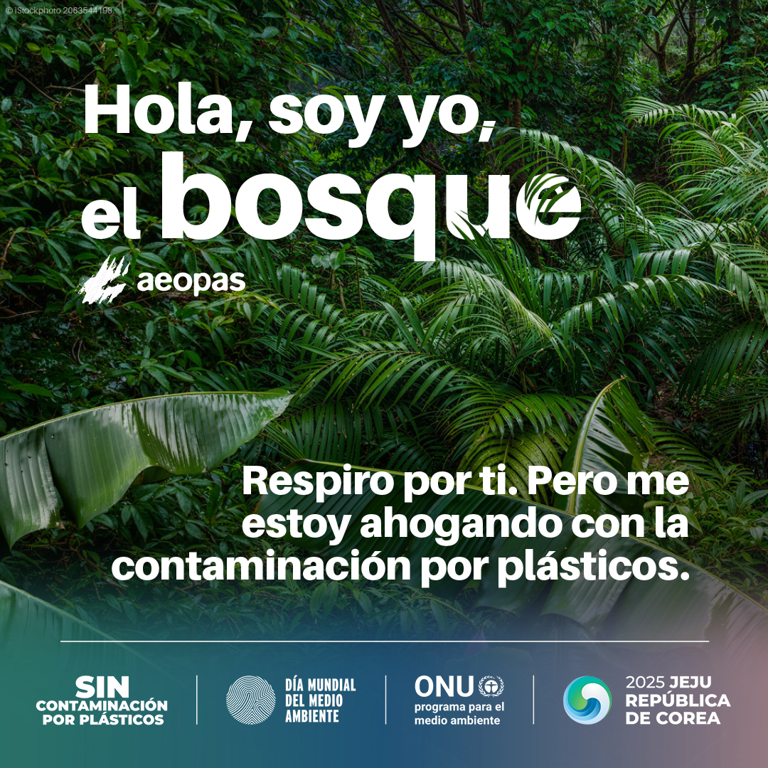 🏙️ En el #DíaMundialDelMedioAmbiente 🌍, destacamos cómo #ProGrifo 💧 apoya a municipios con fuentes públicas 🚿 y botellas reutilizables ♻️. Menos plástico, más agua de calidad
#SinContaminaciónPorPlásticos
