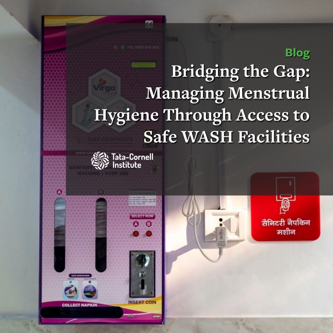 In a guest blog post, <a href="/pintu_jnu/">Pintu Paul</a> makes the case for improved menstrual hygiene management for girls in India.