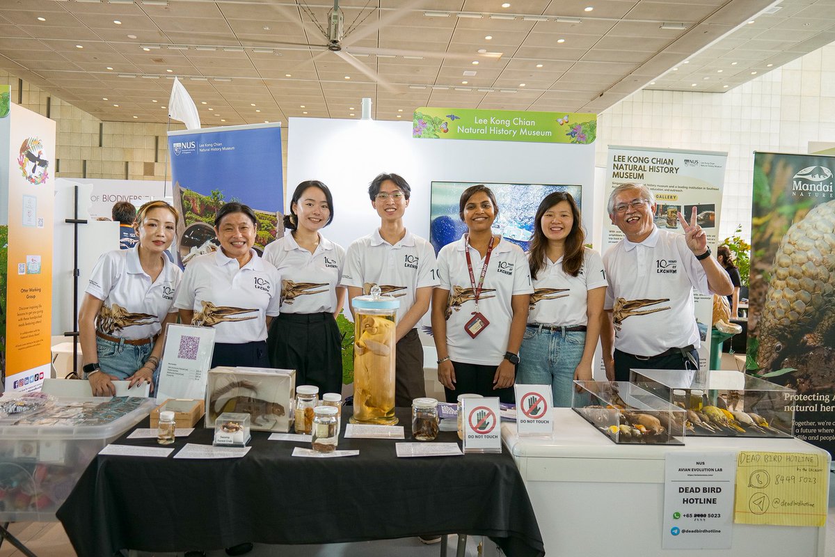 lkcnhm's tweet image. The Museum held a booth at the Festival of Biodiversity 2025 by @nparksbuzz from 31 May to 1 June 2025! We were excited to interact with all of you and share about the Museum’s work!
Thank you to everyone who came down and visited our booth last weekend!