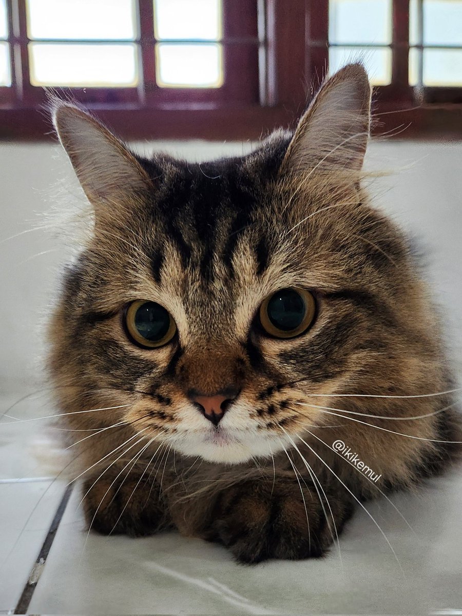 jurus mata boba penarik rejeki