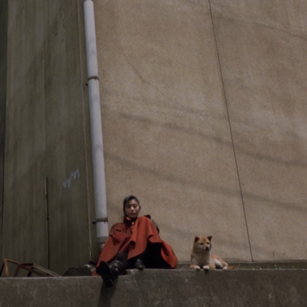 "I guess there are /some/ creatures worth making friends with here."