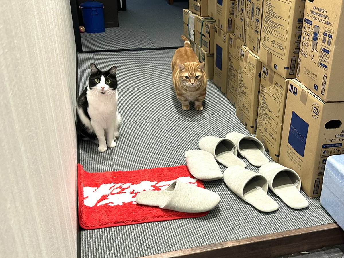 yamachan_mxsxm's tweet image. デスクワーク終えて（終わってないけど）上司に見送られながら呑み会へ。なんか睨んでる気もするけど呑みも仕事なので。
#ザ森東