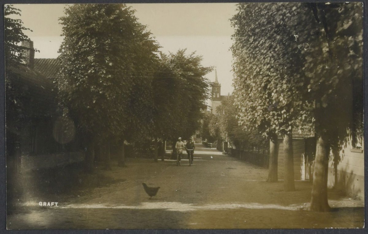 Waarom steekt een #kip de weg over? Dat vroegen deze fietsers rond 1930 in Graft zich vast ook af. #collectievissen Fotograaf onbekend.
