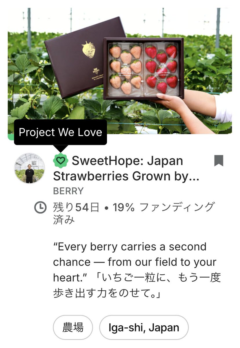 daiki_berry's tweet photo. 🎉Big news! Our campaign “SweetHope: Japan Strawberries Grown by People Starting Over” has been named #ProjectWeLove by @Kickstarter team!

Spotlight brings us a step closer to turning hope into harvest. Believe in second chances &amp; irresistible strawberries? Check the 1st reply! https://t.co/2DfAv6Elg2