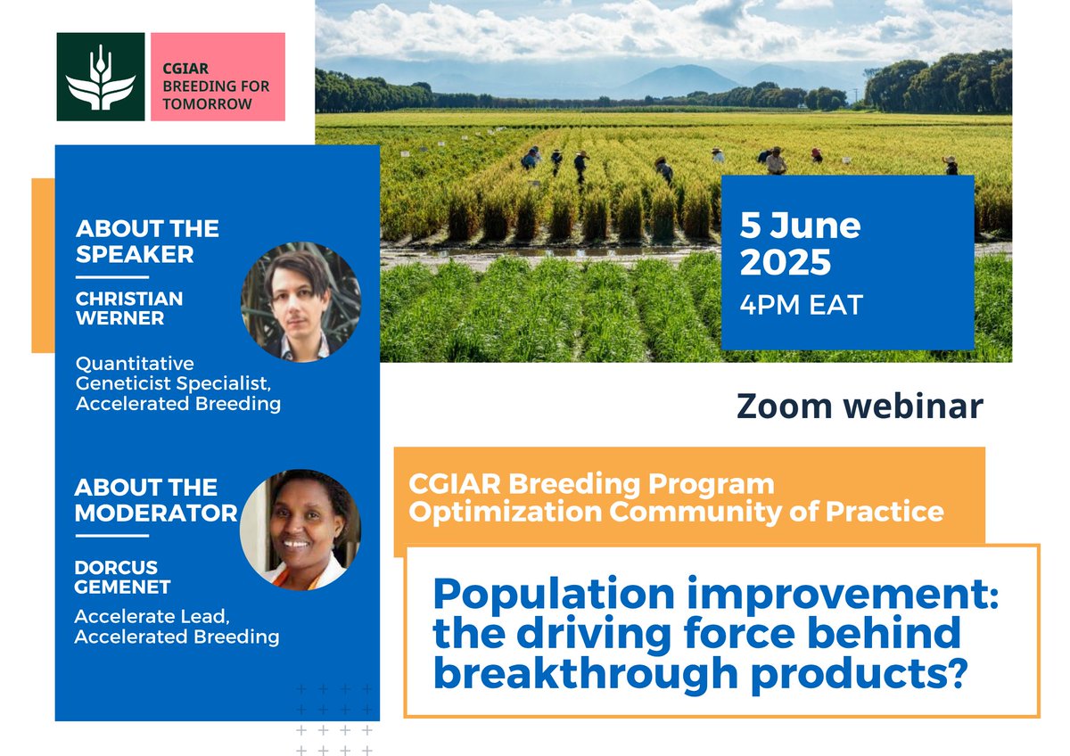 CGIAR Breeding for Tomorrow (@cgiarbreeding) on Twitter photo 🌱 What are breakthrough products in crop breeding?
✅ 25% improvement over current varieties
✅ Game-changing traits, eg hybrids over OPVs
✅ Focused pipelines & TPPs
Join us June 5 as Christian Werner explores if population improvement drives them
📩 j.puech@cgiar.org for link 🌱 What are breakthrough products in crop breeding?
✅ 25% improvement over current varieties
✅ Game-changing traits, eg hybrids over OPVs
✅ Focused pipelines & TPPs
Join us June 5 as Christian Werner explores if population improvement drives them
📩 j.puech@cgiar.org for link