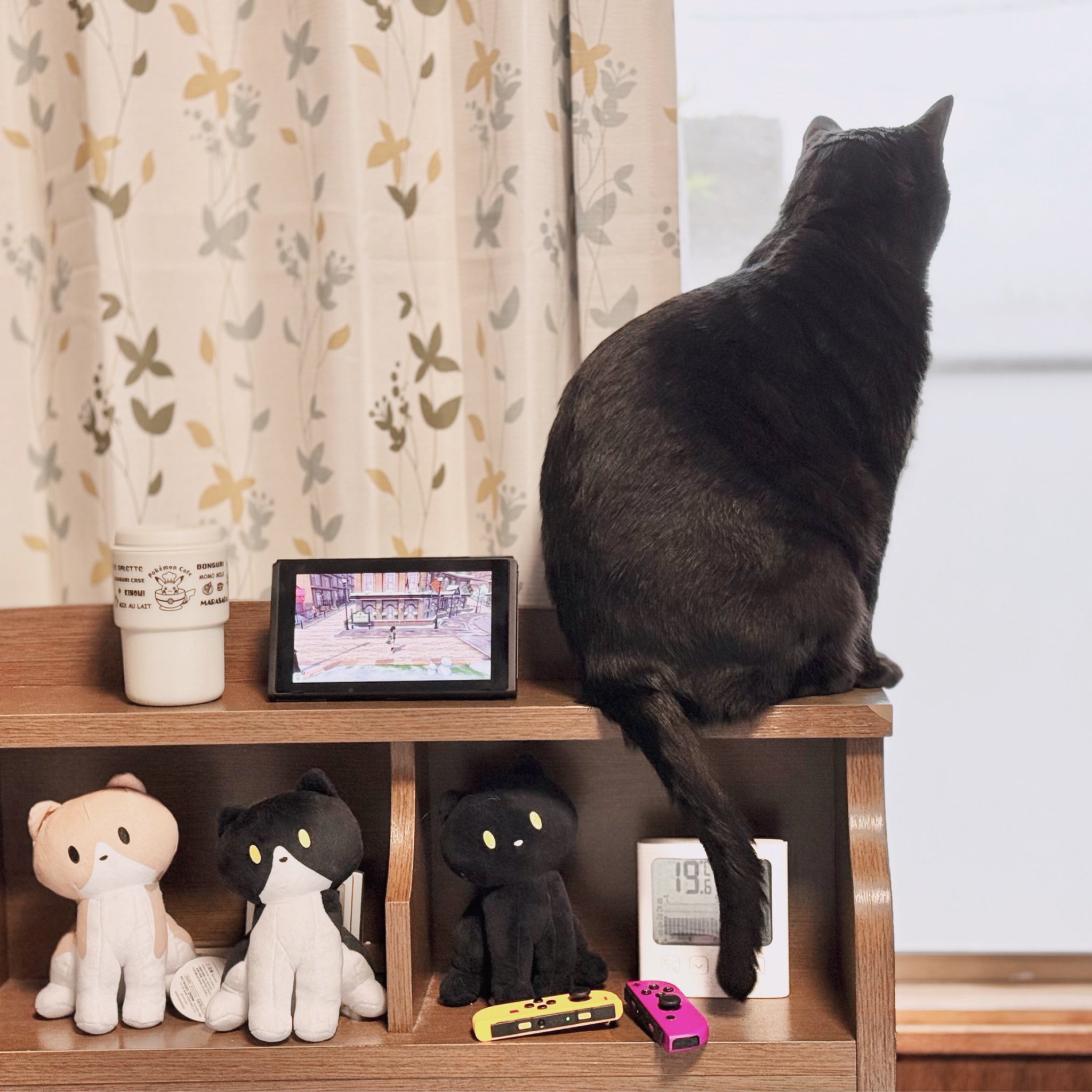 猫B 最終値下げしました！ 猫よけ対策 ブラブラおどし猫 2PC 猫 撃退 グッズ 猫撃退 猫よけ