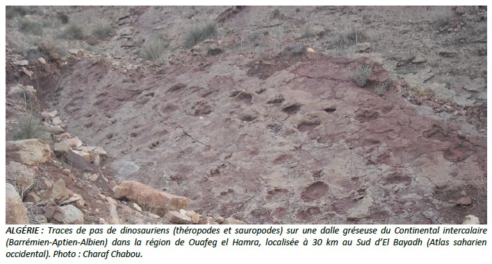 📢 Pangea Infos n°79 (Juin 2025) : geosoc.fr/toutes-les-act…