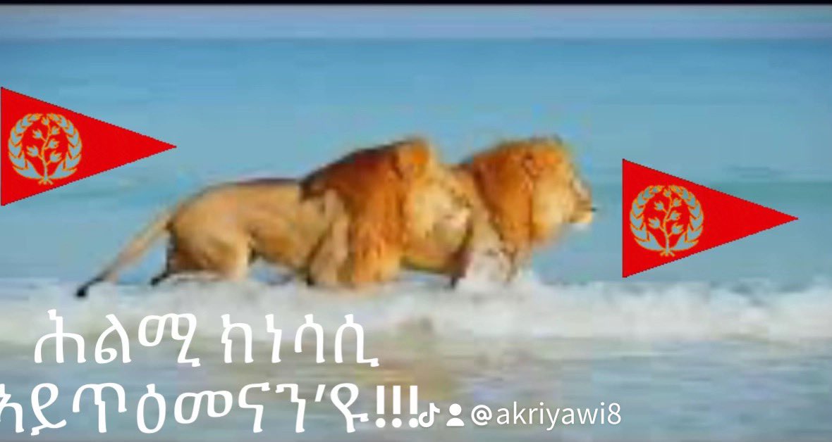 AdemAlimo5's tweet photo. @HannaaLido Assab is not in X!
Come and we will welcome you as usual! https://t.co/ee6NJPBNk1