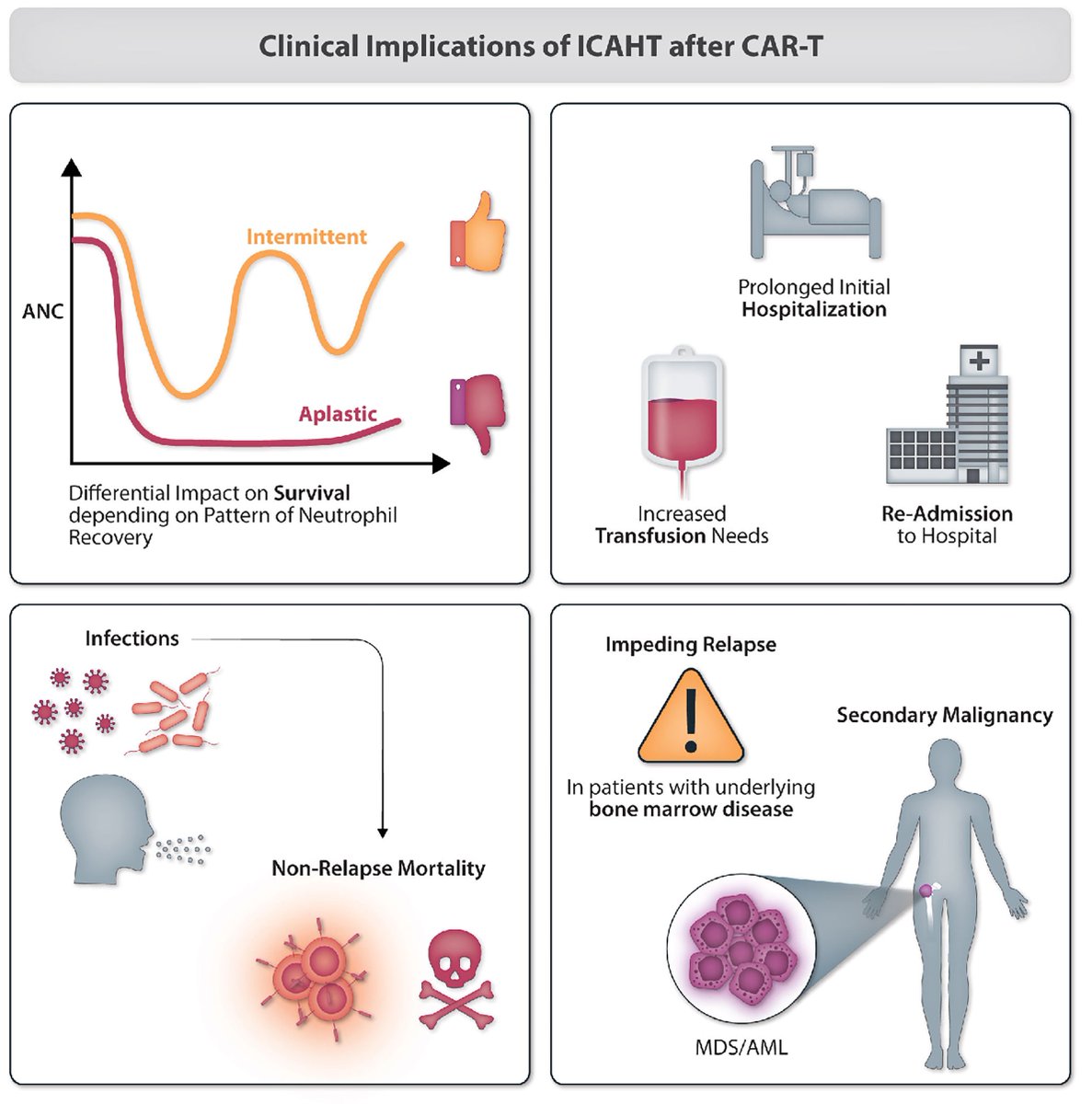 RShouval's tweet image. 📢 New Review Out in @Haematologica!
Together with Ofrat Beyar Katz and @KRejeski, we discuss hematologic toxicities of CAR-T therapy—definitions, mechanisms, and clinical impact.
Read the full review 👉 haematologica.org/article/view/1…
#CAR_T #Hematology #Toxicity