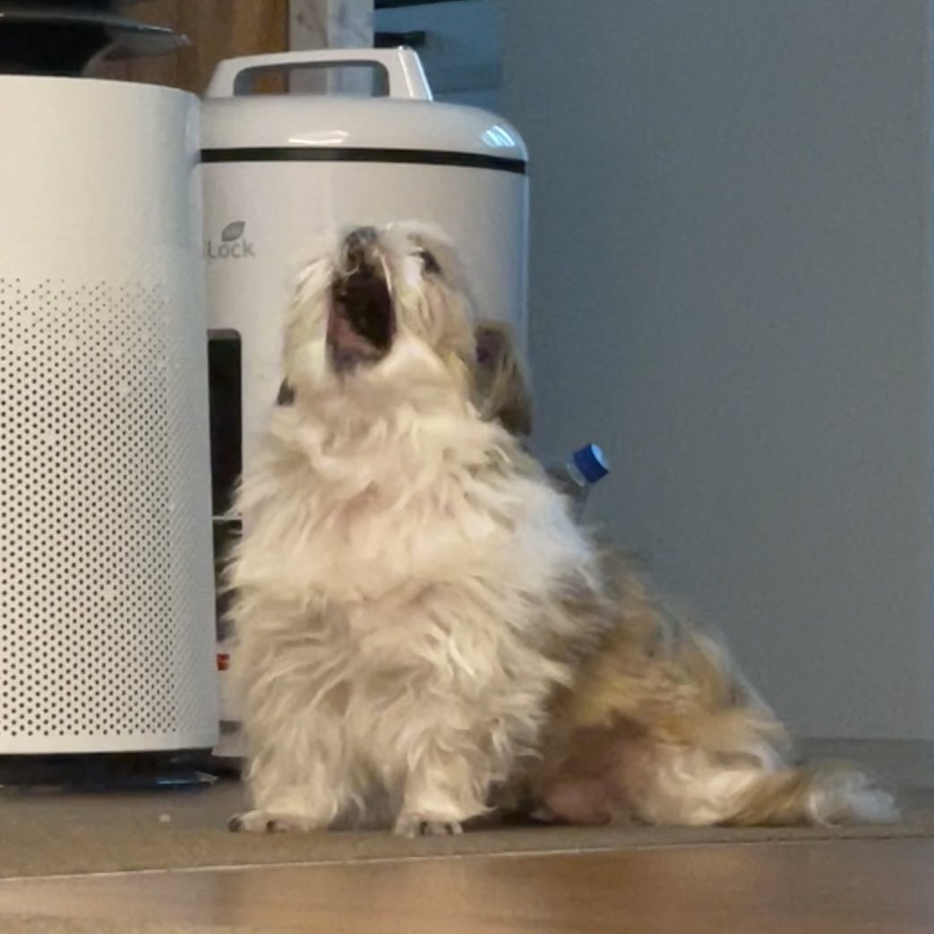 더깊이빠져어어어어어!!!!! 죽어도되니까!!!!!!
다시한번마안!!!!!!!!!!!!(다시한번마안!!!!!!)
오.암드라아앙아아우니잉!!!!! 이츠레!!!!이닝오오옹올데에에이예에에이예에!!!!!!!!!!!!!아캔..!!!!
브리이이이이이이이딛ㄷㄷㄷ옝에에에에에엑!!!!!!!!!!!!!!!!!!!!!!!!!!!!!!!!!!!!!!!!!!!!!!!!!!!!!!!