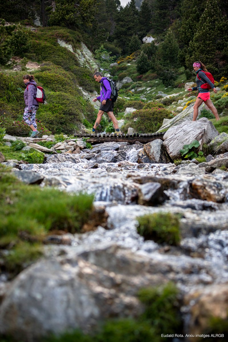👣 Caminar és una de les formes més senzilles (i potents) de cuidar el planeta.

🌍 En el #DiaDelMediAmbient, celebrem el senderisme com a turisme amb sentit: proper, sostenible i arrelat al territori.

💚 Inscriu-te als Festivals de Senderisme i camina amb consciència!