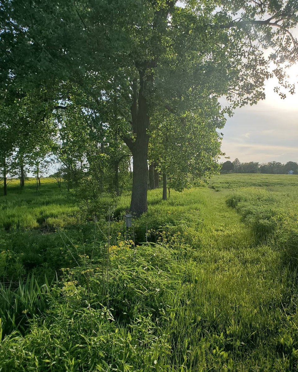 Ich wünsche euch allen von ganzem Herzen ❤ einen wunderschönen Mittwoch 🌞 🌞 🌞 mit hoffentlich etwas Sonnenschein ☀ ☀️ ☀️ und viel Freude 😊 🙃 😊 🍀 🎼 🎵 🎶 💃 🕺 🎉 🎈 🌈 😺 🎉 💐 🐶 🎉 ☕ 📚 📖 🍽️ 🍷 🍵 🌈 😺 🌈