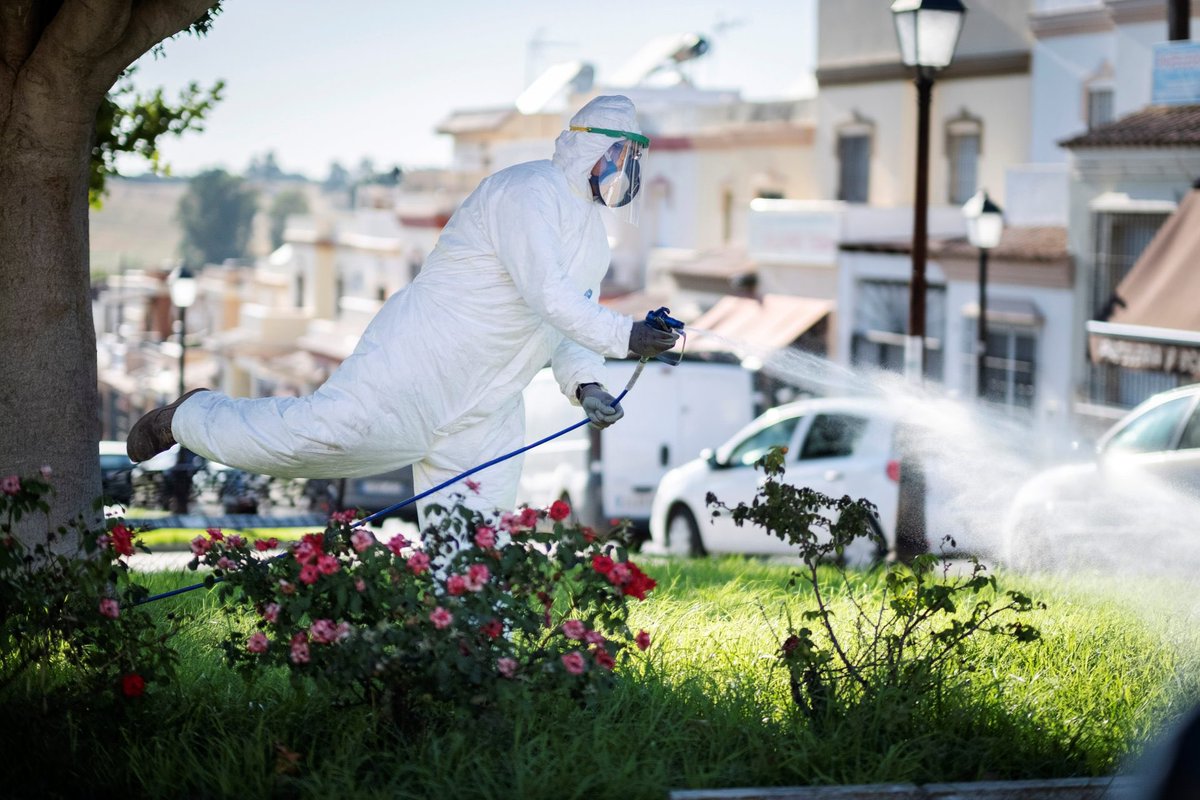 HOY EN MÁS DE UNO SEVILLA... Analizamos la situación del virus del nilo ahora que ha comenzado a sembrarse el arroz. El año pasado 10 personas fallecieron en Andalucía por esta enfermedad y estos días son clave, por eso se ha aumentado la extensión a fumigar. ¿será suficiente?
