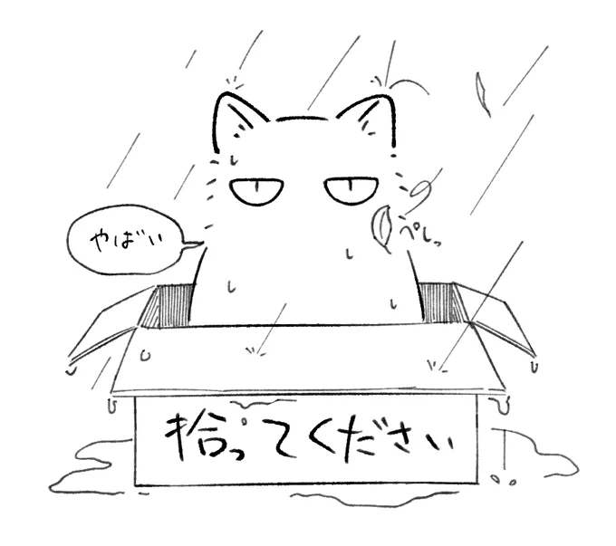 今これ 