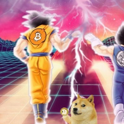 SatoshiLitx's tweet image. #NewProfilePic