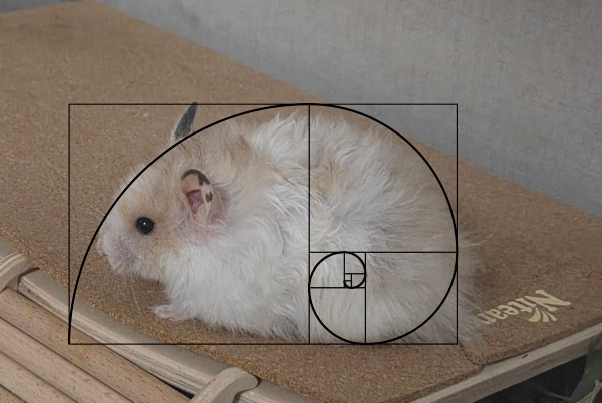 좋은 사진을 받앗어요 마음에 들어요