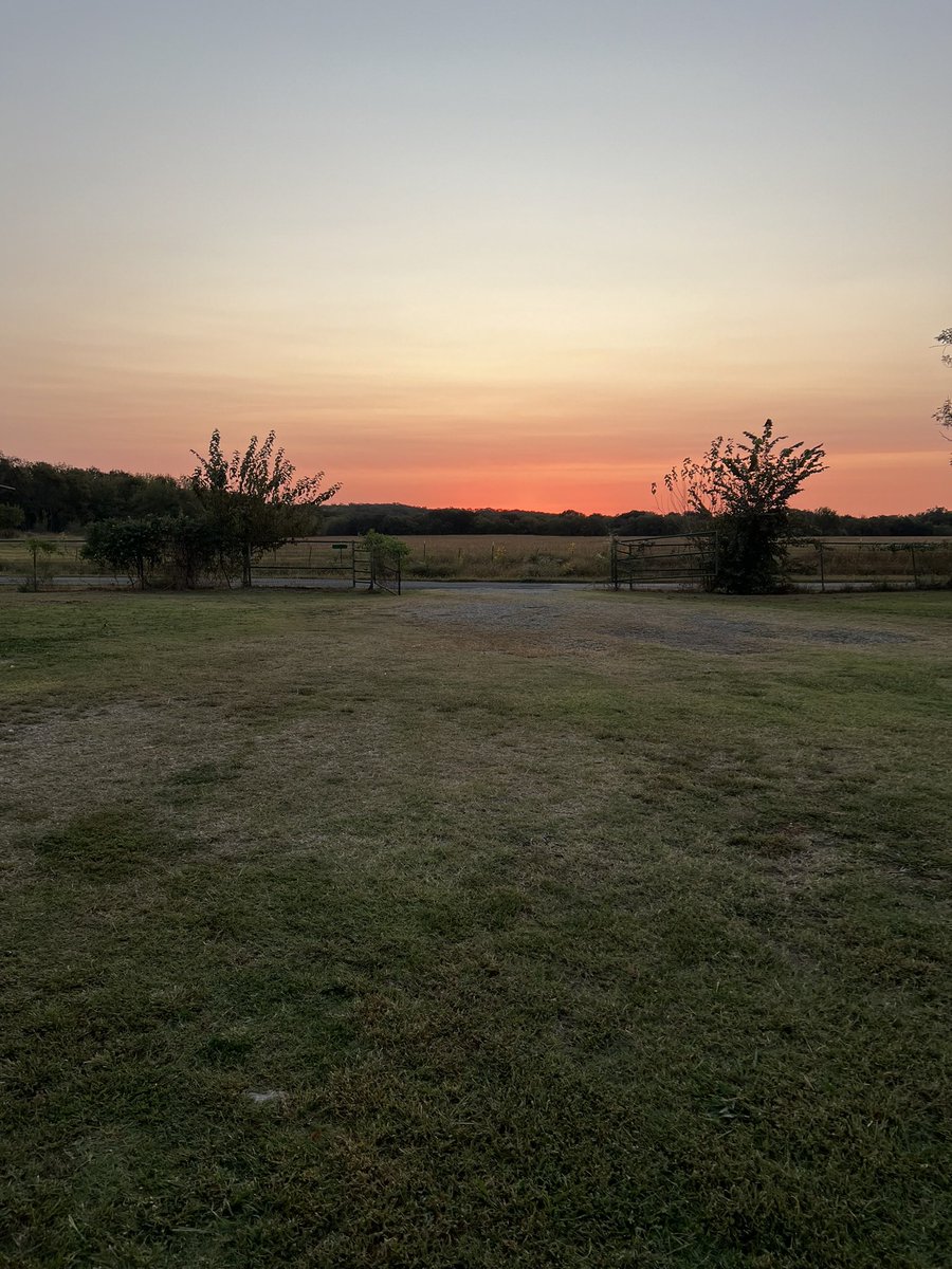 Good morning from Oklahoma. Have a blessed Wednesday. This from my devotion this morning. ‘I will praise God’s name in song and glorify him with thanksgiving… Let heaven and earth praise him’.👇🏼
