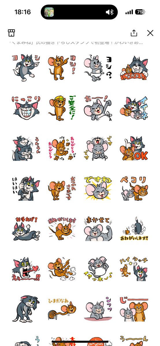 つい買ってしまった🤣