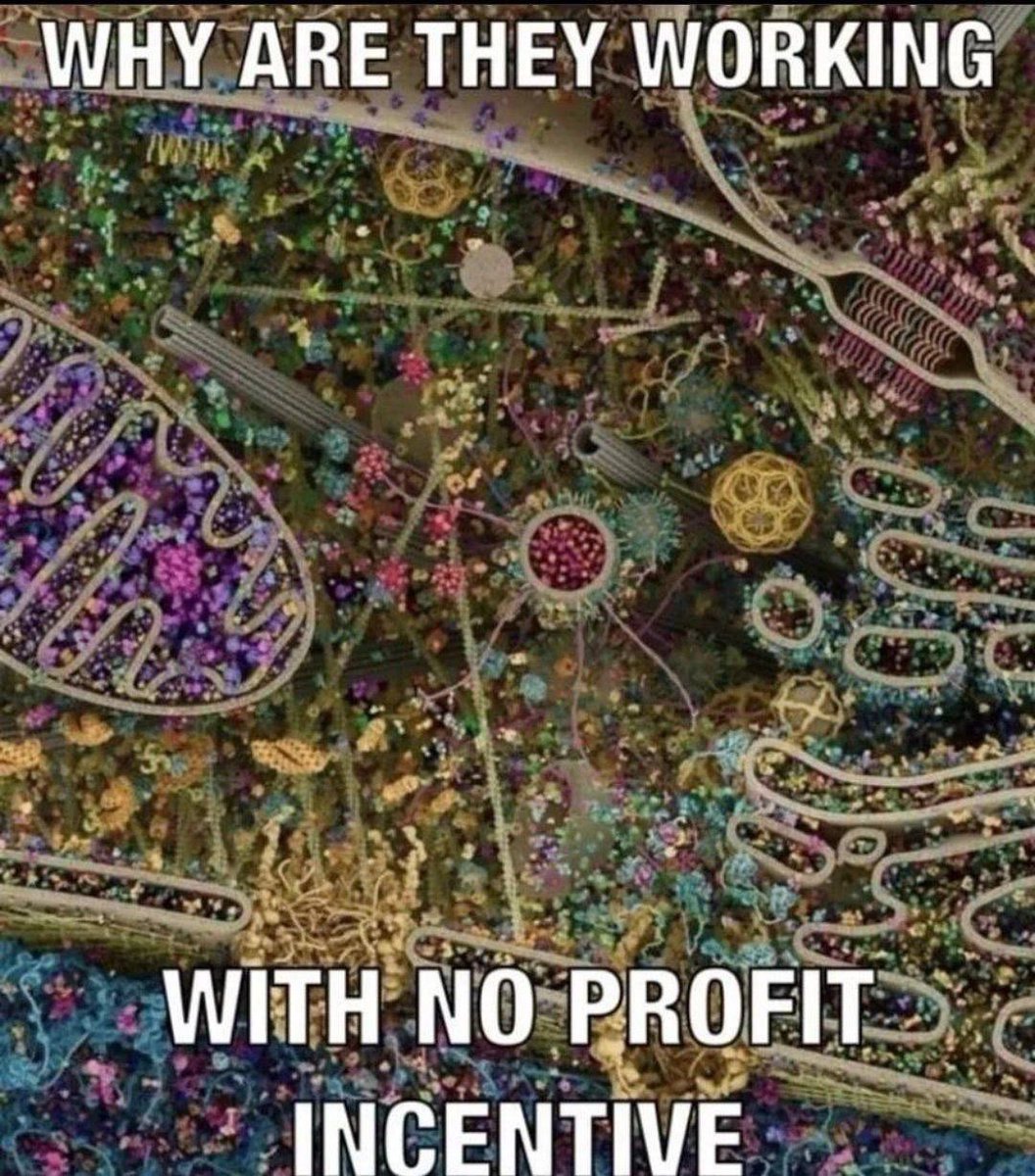 Dayton Mills (@daytonmills) on Twitter photo 