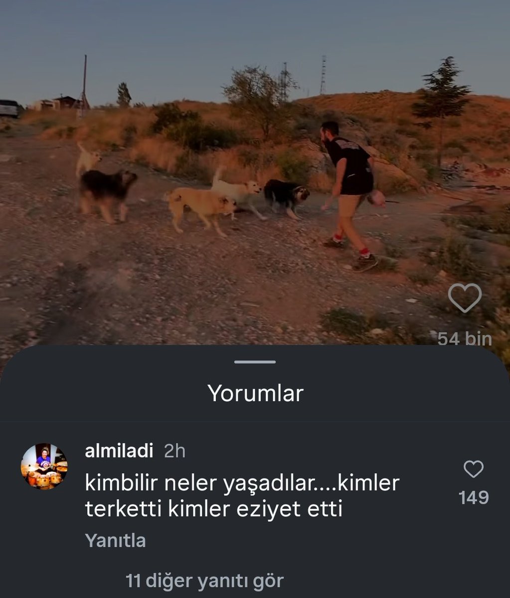 Günün orospu evlatlığı seviyesi