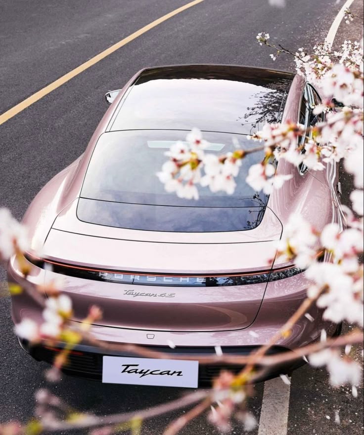 Adını bile unutsam keşke
Tüm anılarım seninle bitse