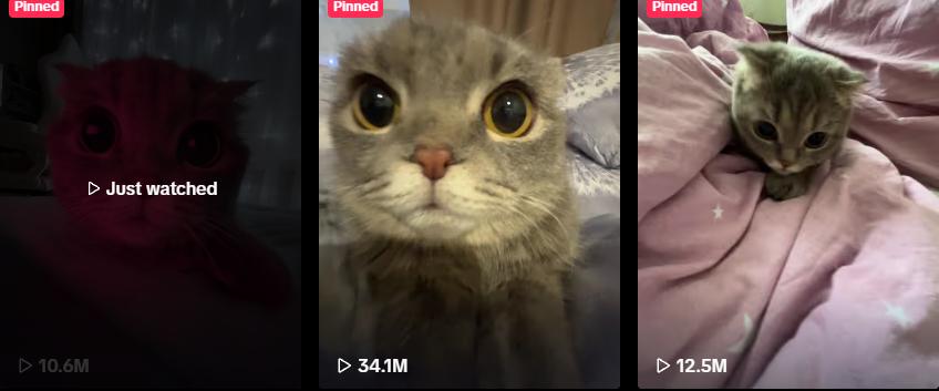 LoreFinder_'s tweet photo. I just found a account with over 100 million views just from a cat vibing to music and it hasnt been tokenized, its pretty funny, the name of the cat is Molly.

https://t.co/ZurhAinSn1 https://t.co/ULIVvoZuXt