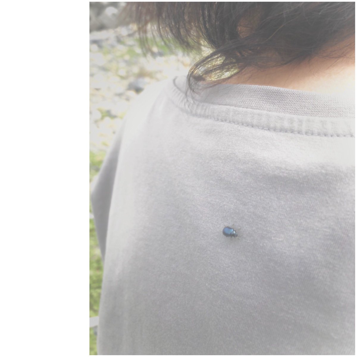 ばふぁりん tweet media