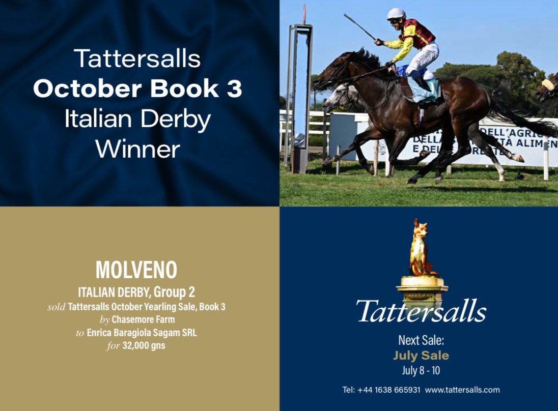 EBN (@bloodstocknews) on Twitter photo โจ <a href="/Tattersalls1766/">Tattersalls</a> October Book 3 Italian Derby Winner โจ
๐ MOLVENO wins the Gr.2 Italian Derby. Sold at the October Yearling Sale, Book 3 by <a href="/chasemorefarm/">Chasemore Farm</a> to Enrica Baragiola Sagam SRL for 32,000gns.
Next Sale: July Sale
๐ July 8 - 10
tattersalls.com โจ <a href="/Tattersalls1766/">Tattersalls</a> October Book 3 Italian Derby Winner โจ
๐ MOLVENO wins the Gr.2 Italian Derby. Sold at the October Yearling Sale, Book 3 by <a href="/chasemorefarm/">Chasemore Farm</a> to Enrica Baragiola Sagam SRL for 32,000gns.
Next Sale: July Sale
๐ July 8 - 10
tattersalls.com