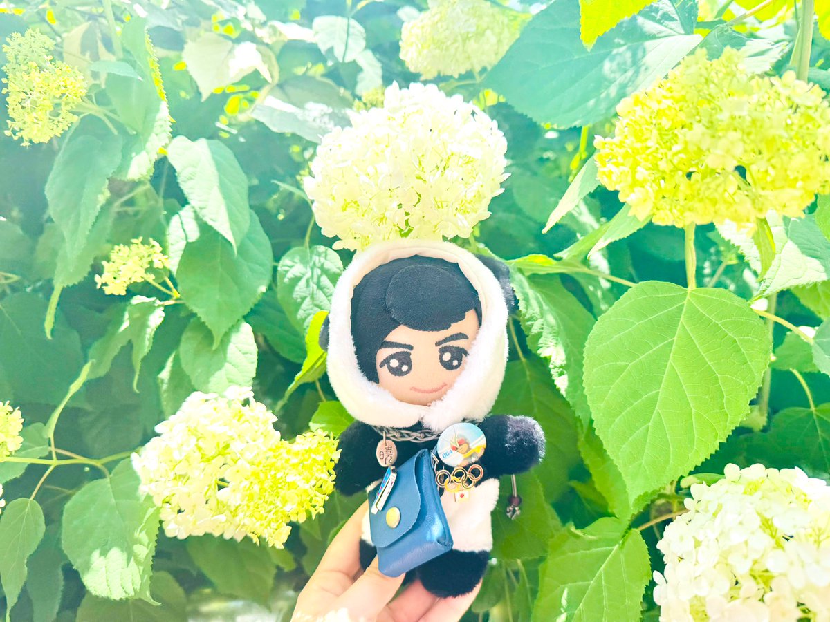 ぬいちゃんと紫陽花❁⃘*.ﾟ
コロボックルみたいで可愛いね🫶