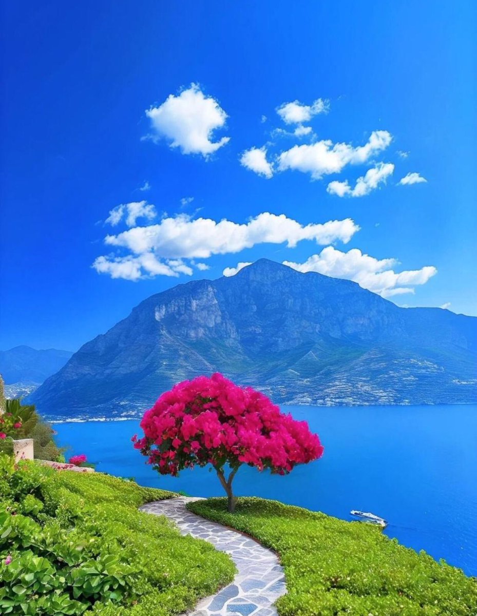 “Happy Wednesday!”🌷
It’s never too late to become the best version of yourself,