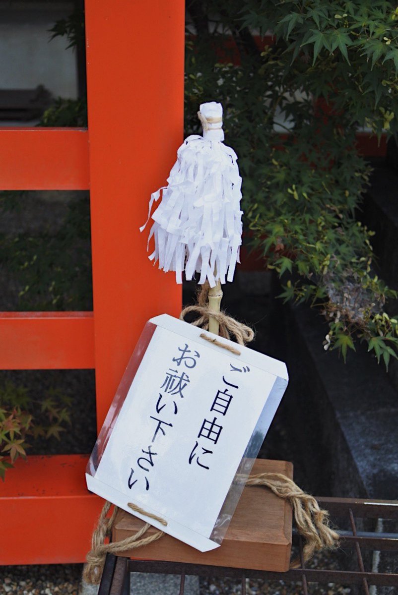 mr270410's tweet photo. 神社に行って声出して笑ってしまった https://t.co/alUrgCcrIy