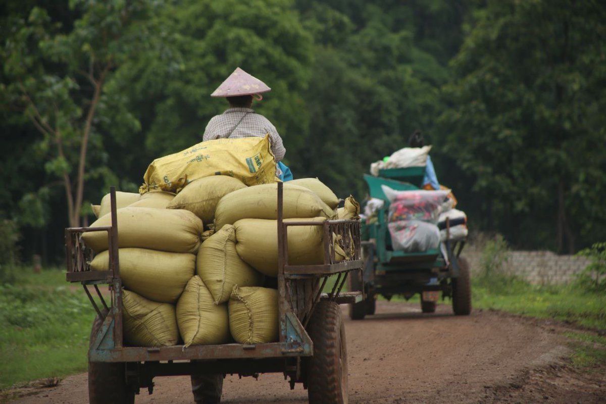 IrrawaddyNews's tweet photo. Some 1,000 regime and junta-allied Pa-O National Organization troops are attacking resistance positions on the border of Yawnghwe and Pekon townships in southern Shan State, forcing many villagers to flee, said Inle People’s Defense Force. (Photo: IPDF) #WhatsHappeningInMyanmar https://t.co/yuW6JQBDQX