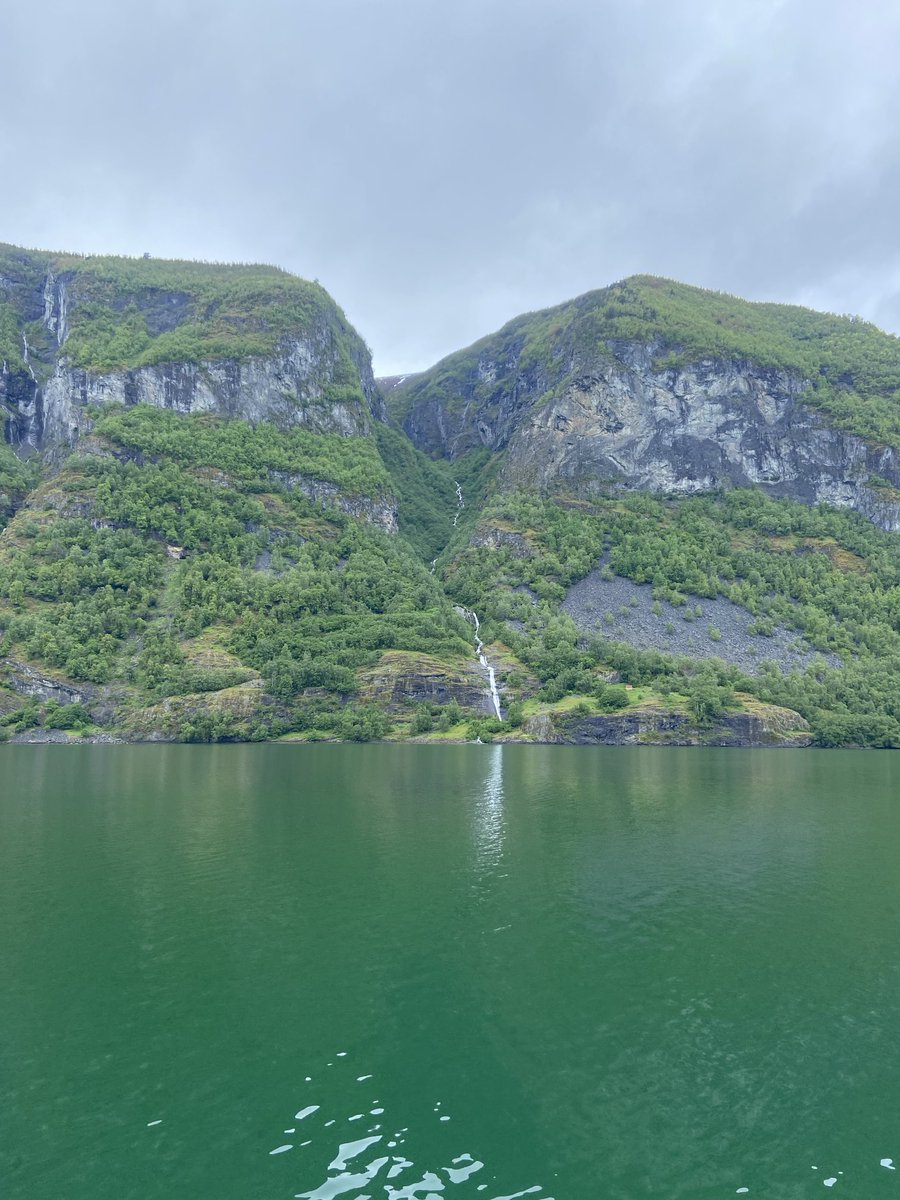 Mark Rowe tweet media