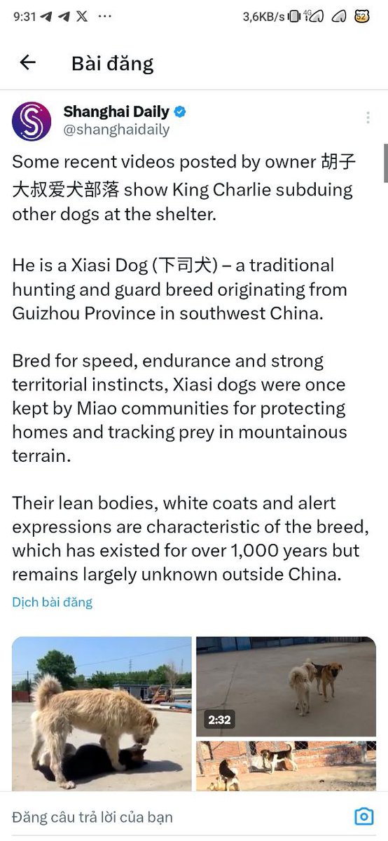 Nhat Dora🔶BNB tweet media