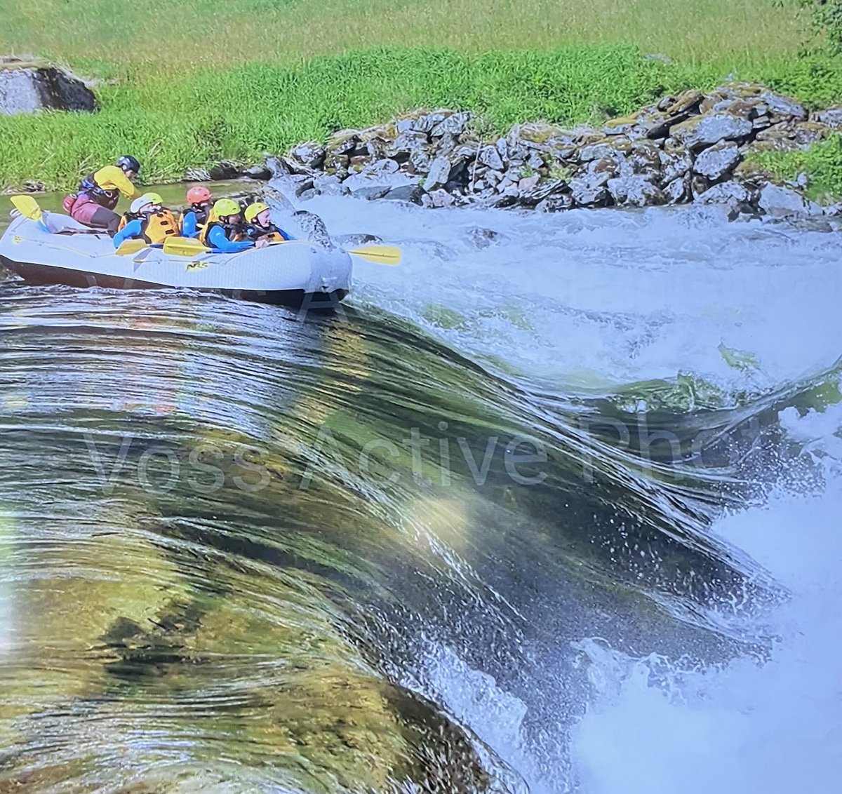 Mark Rowe tweet media