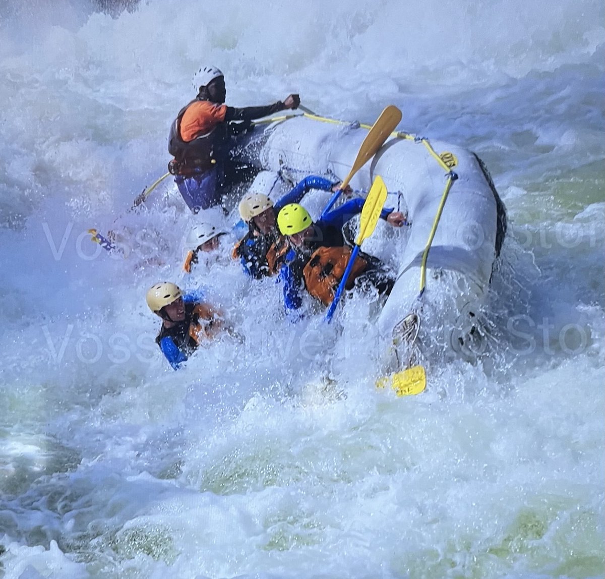 Mark Rowe tweet media