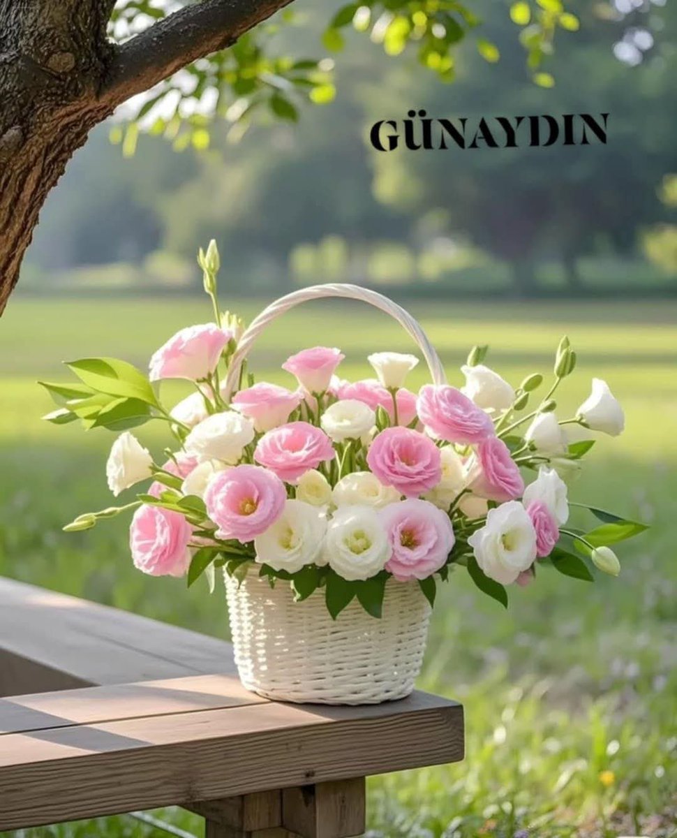 Sfran_34's tweet image. Bize yeni bir dünya,
Yeni bir  hayat lazım !
Sevgiyle anlam kazanan,
İnsanın içini huzurla dolduran,
Yüzünü gözünü gülümseten
Günler lazım...
🌼
Ne çetin kışlar
Yaşanırsa yaşansın;
Umut var oldukça,
Hep aynı hikaye
Tekrar edecek .
Güneş yüzlü papatyalar
&quot;Baharı müjdeleyecek..&quot;
☕