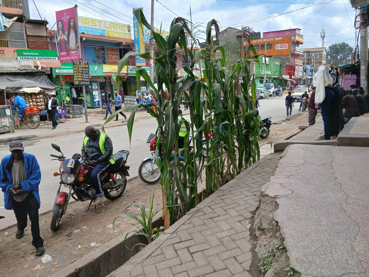 Umoja 1 Estate, near Umoja 1 Market

🌽