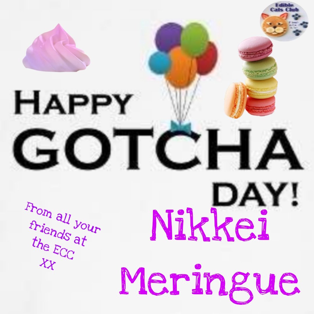 Postman Pappy’& Postman Panfur’s ECC Cards (@eccpostmanpappy) on Twitter photo *Postman Panfur comes in to the PO* HAPPY GOTCHA DAY DEAR NIKKEI MERINGUE! HAVE A PERFECT DAY. LOTS OF LOVE AND PAW HUGS ❤️❤️❤️❤️❤️❤️❤️ <a href="/denvor18/">Dionysia Voridi 👠,Nikkei &Ortipo</a> <a href="/EdibleCatsClub/">EdibleCatsClub</a> *Postman Panfur comes in to the PO* HAPPY GOTCHA DAY DEAR NIKKEI MERINGUE! HAVE A PERFECT DAY. LOTS OF LOVE AND PAW HUGS ❤️❤️❤️❤️❤️❤️❤️ <a href="/denvor18/">Dionysia Voridi 👠,Nikkei &Ortipo</a> <a href="/EdibleCatsClub/">EdibleCatsClub</a>