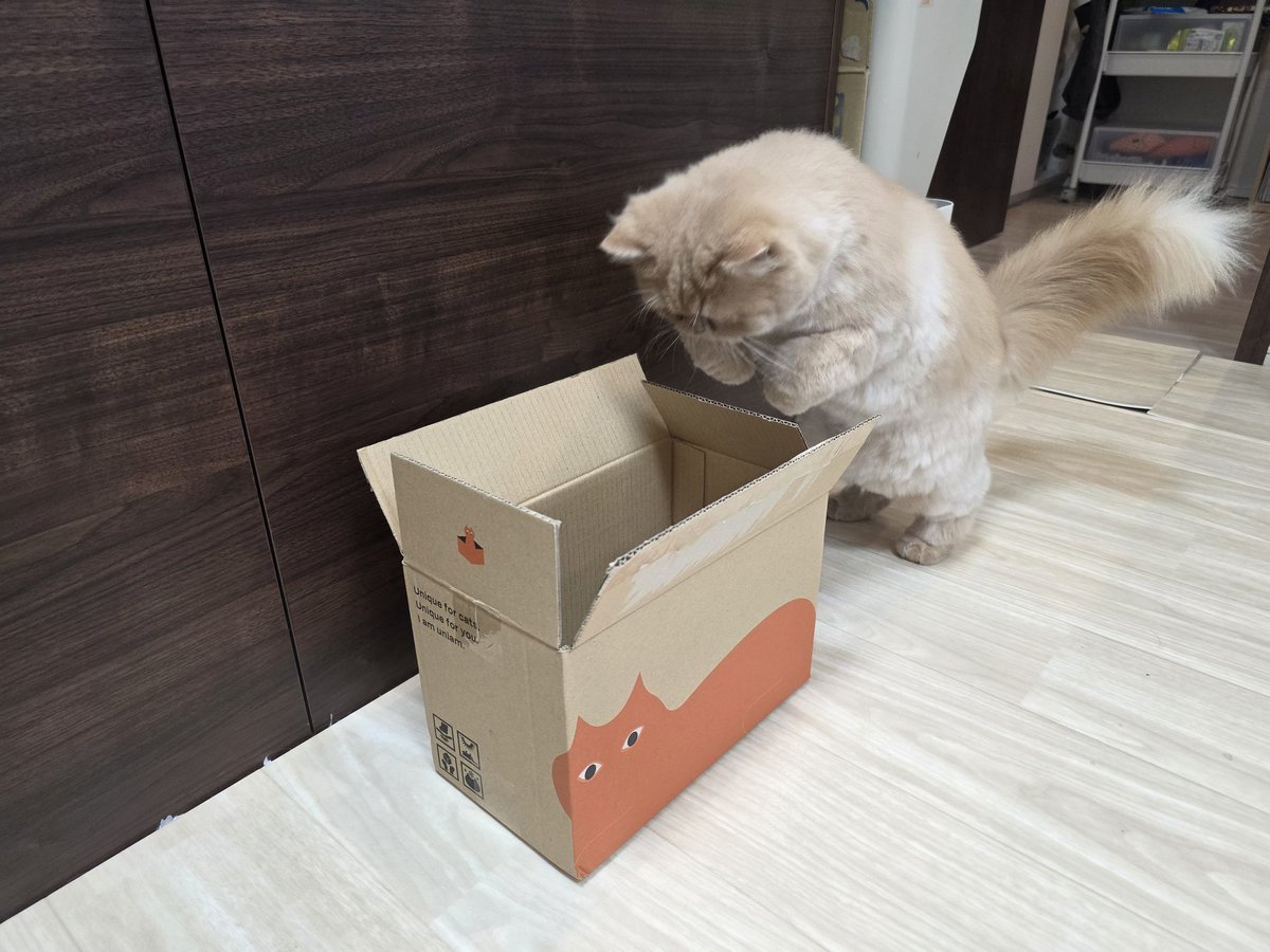 noramasuikai's tweet image. ゆきち(うちのお猫様)のご飯を買ったら、めっちゃカワイイ箱で届いた😻

#uniam
#wildpro
#猫の健康