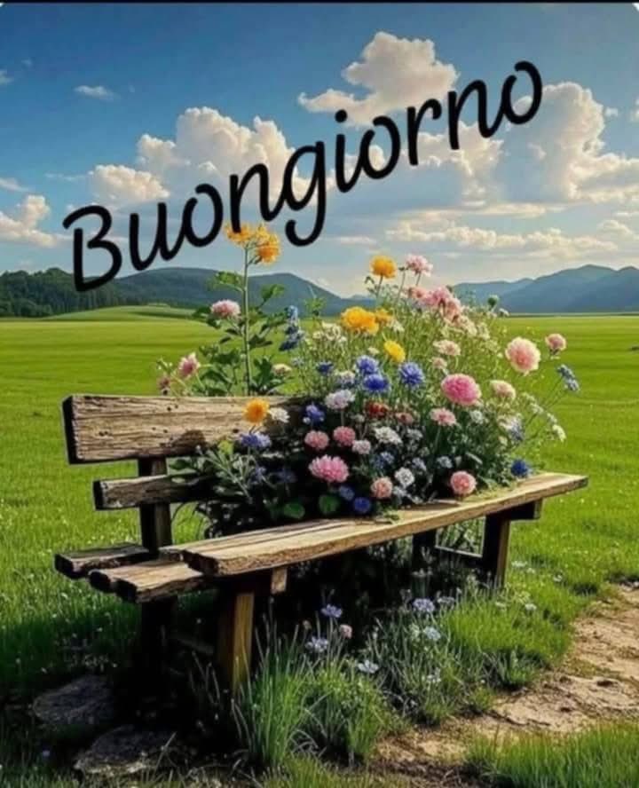 RITABIANCHi56 tweet media