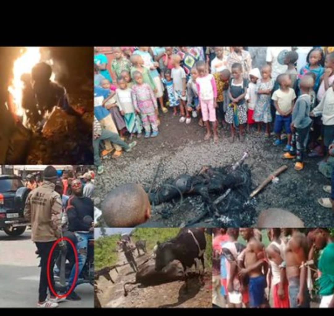 We mourn the countless lives lost in Rugezi, Bijabo, Bibokoboko, Kalingi, and beyond. But mourning is not enough. The genocide machine led by Tshisekedi and Ndayishimiye must be stopped. Now. #EthnicCleansing #TshisekediAgainstPeace