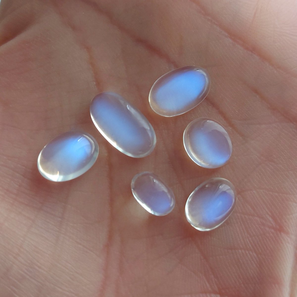 同ロットの、ブルーよし！透明感よし！のブルームーンストーン(全て比重判定済、内2点ソ済)の取り扱いが叶うことになったので少ないですがジェムファンファーレ！に持って行きます🙋
5階のfancygemsさま(<a href="/satotradingco/">fancygems</a>)のブースに預けておきます💡
ジェムファンファーレ！は今週末です😆✨