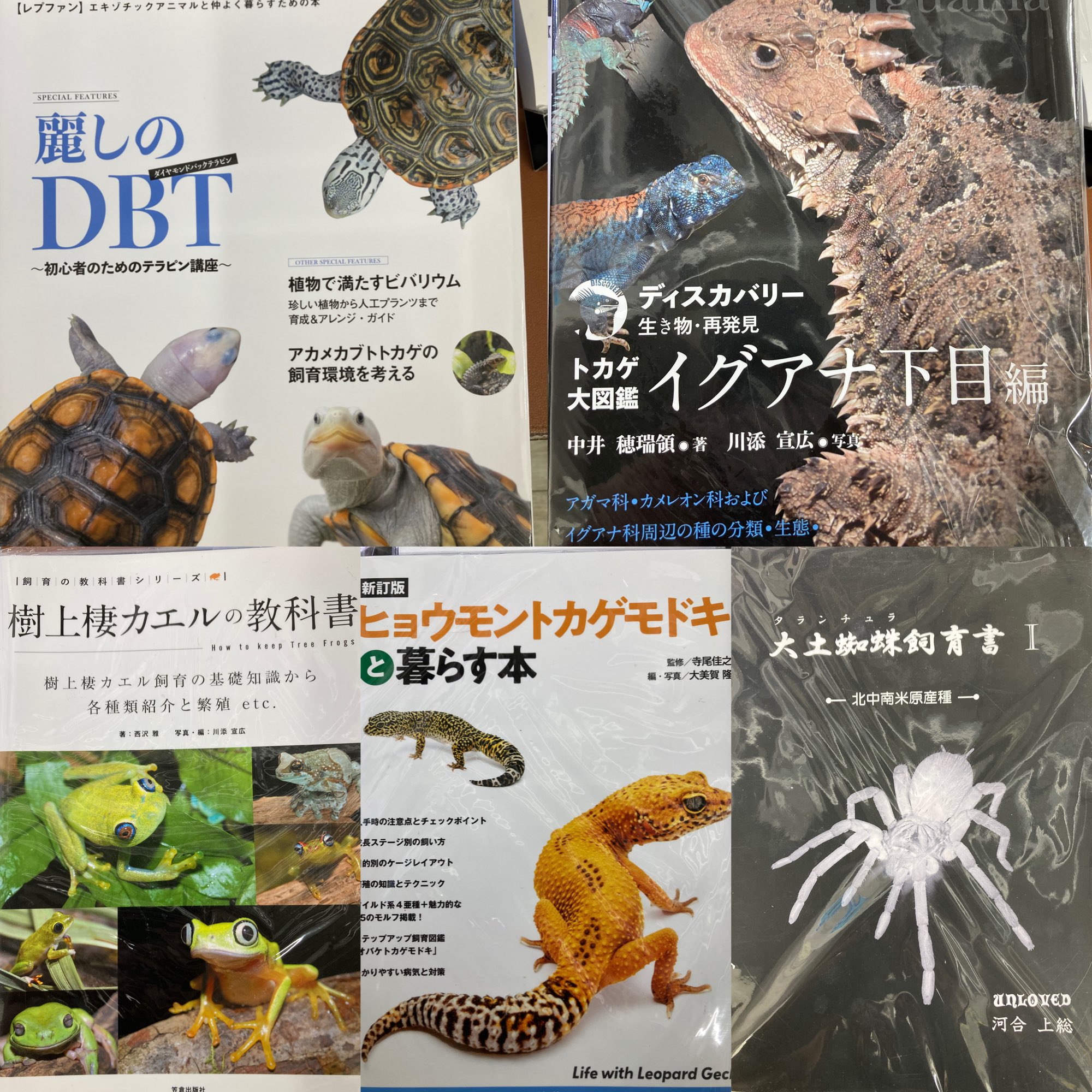 【中古】エキゾチックアニマル臨床シリーズ 飼育と栄養 爬虫類 オウム 齧歯類 中古】エキゾチックアニマル臨床シリーズ 飼育と栄養 爬虫類