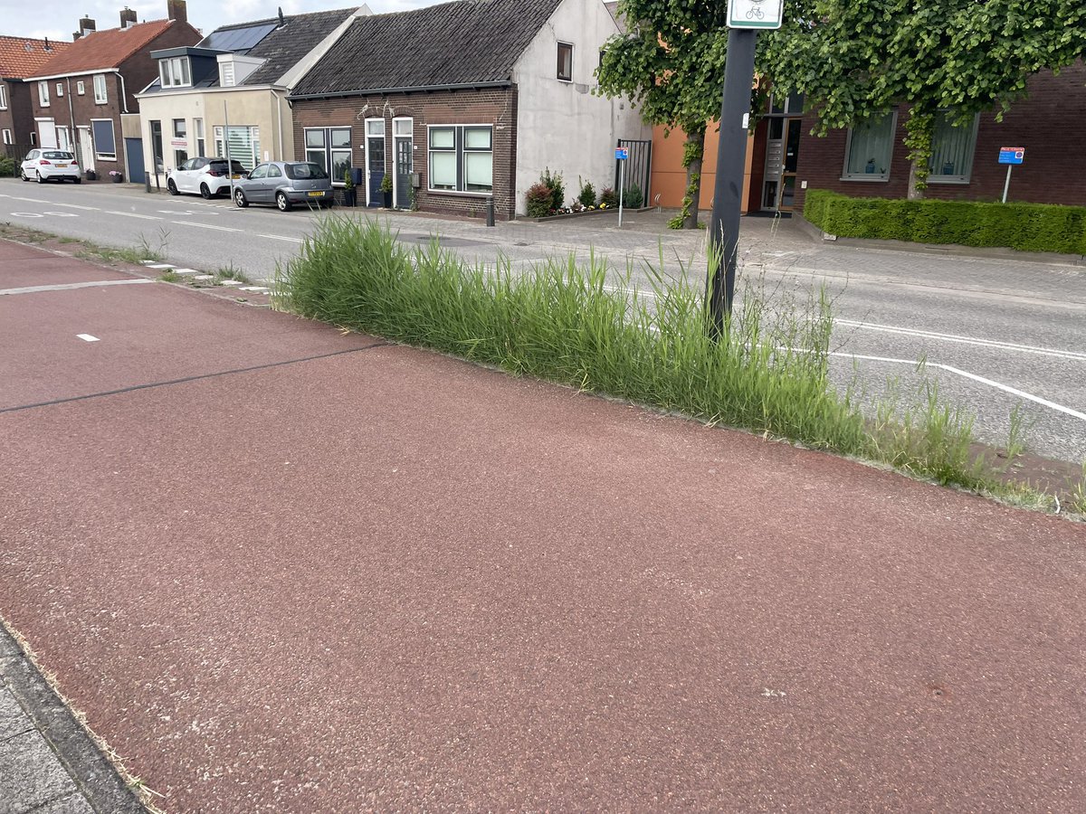 René van den Bos tweet media