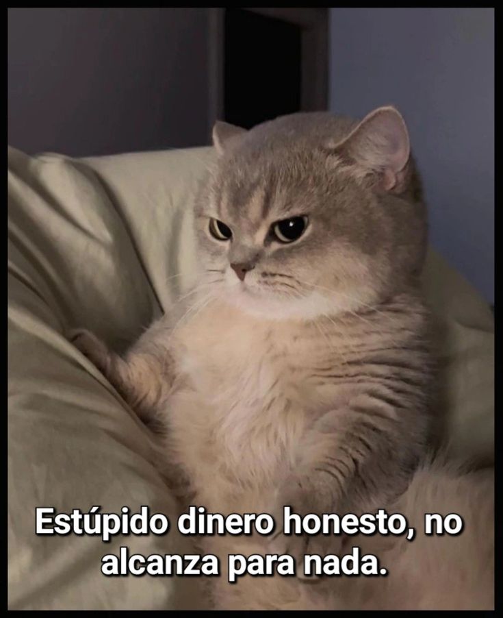 En Júpiter (@en_jupiter_) on Twitter photo 