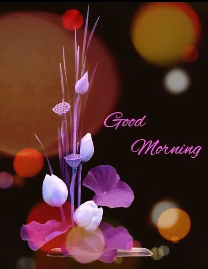Ramphal Kataria رامپھل کٹاریا (@rpskataria) on Twitter photo <a href="/joanne_argent/">Joanne Argent</a> <a href="/roseflourish_13/">Rose 🌹: Maryam.</a> <a href="/HumbleIndian/">Vivek Hindustani</a> <a href="/analons/">Annemiek Alons</a> <a href="/ClockworkHamma/">Clockwork Hamma</a> <a href="/Dipanka82446090/">Dipankar Roy</a> <a href="/BSuhic/">Jasminka</a> <a href="/sheriran95/">sheer_iran</a> <a href="/RitaSofiale/">Rita</a> <a href="/Edward733/">ஜ۩ღEdward Simღ۩ஜ 심상갑</a> <a href="/ArlindoFerreir4/">Arlindo Ferreira</a> <a href="/mi_venecia/">I ❤️MI PEQ. VENECIA!</a> <a href="/Manzoor01162219/">Manzoor Hussain....@PakPowerFamily</a> <a href="/scouse_kim/">scouse kim</a> <a href="/heroldbarton/">herold barton</a> <a href="/HossainAnamika/">Anamika hossain</a> <a href="/vickiemoore07/">Vickie 🌸🙋🏻♀️😊</a> <a href="/leilasbsantos/">🇧🇷LEILA BOTELHO 🇧🇷🇮🇱</a> <a href="/RosaTrunk/">Rosa</a> <a href="/VelvetSkye/">Velvet Skye™© 🇨🇦 ❤️💪</a> <a href="/PatGrant7777/">✨Star Bright ✨</a> <a href="/Elly15094328/">missy</a> <a href="/PONCHOAGOPLA/">Poncho Gómez-Plaza</a> <a href="/roads2/">Susan Nelson</a> <a href="/redsand2/">Simon Kim</a> <a href="/ManiarMuhammad/">Aafiny MZM</a> <a href="/663Renegade/">Anna</a> <a href="/yaidunohannji/">Naoki Nishino</a> <a href="/Titas37/">Benito -</a> <a href="/mirtaimperatori/">Mirta Imperatori</a> <a href="/Aguilablanca800/">aguila Blanca 😎👍🏍️✌️✌️</a> <a href="/digitalgypsie/">Mark Duncan🇺🇸</a> <a href="/jrmtm50/">jose</a> <a href="/JohnPierceIX/">JohnPierceIX</a> <a href="/maryrhoton/">Motormouth 2</a> <a href="/Jill_Gregory/">Jill Gregory</a> <a href="/Jefinafita17/">jeferson silva</a> <a href="/DodyM38/">Dr: Dody</a> <a href="/antoniaparra8/">antonia parra</a> <a href="/Drmdqamruddins1/">Drmdqamruddinsadri</a> <a href="/misvonvon22/">Miss von</a> <a href="/labonitacorre/">Aura</a> <a href="/Linyuling99999/">Lin yu ling</a> <a href="/moonjames42/">Moon James 42</a> <a href="/Jilliemary/">Jillian Peeling</a> <a href="/BruynChantal/">De Bruyn Chantal</a> <a href="/PattiBrookd/">Patti Brookd</a> <a href="/PolishRoyalGoat/">Ana and her Goat</a> <a href="/MistressTepco/">꧁スカーレット緋色꧂36K🦩</a> Good morning Joanne ✨💐✨ <a href="/joanne_argent/">Joanne Argent</a> <a href="/roseflourish_13/">Rose 🌹: Maryam.</a> <a href="/HumbleIndian/">Vivek Hindustani</a> <a href="/analons/">Annemiek Alons</a> <a href="/ClockworkHamma/">Clockwork Hamma</a> <a href="/Dipanka82446090/">Dipankar Roy</a> <a href="/BSuhic/">Jasminka</a> <a href="/sheriran95/">sheer_iran</a> <a href="/RitaSofiale/">Rita</a> <a href="/Edward733/">ஜ۩ღEdward Simღ۩ஜ 심상갑</a> <a href="/ArlindoFerreir4/">Arlindo Ferreira</a> <a href="/mi_venecia/">I ❤️MI PEQ. VENECIA!</a> <a href="/Manzoor01162219/">Manzoor Hussain....@PakPowerFamily</a> <a href="/scouse_kim/">scouse kim</a> <a href="/heroldbarton/">herold barton</a> <a href="/HossainAnamika/">Anamika hossain</a> <a href="/vickiemoore07/">Vickie 🌸🙋🏻♀️😊</a> <a href="/leilasbsantos/">🇧🇷LEILA BOTELHO 🇧🇷🇮🇱</a> <a href="/RosaTrunk/">Rosa</a> <a href="/VelvetSkye/">Velvet Skye™© 🇨🇦 ❤️💪</a> <a href="/PatGrant7777/">✨Star Bright ✨</a> <a href="/Elly15094328/">missy</a> <a href="/PONCHOAGOPLA/">Poncho Gómez-Plaza</a> <a href="/roads2/">Susan Nelson</a> <a href="/redsand2/">Simon Kim</a> <a href="/ManiarMuhammad/">Aafiny MZM</a> <a href="/663Renegade/">Anna</a> <a href="/yaidunohannji/">Naoki Nishino</a> <a href="/Titas37/">Benito -</a> <a href="/mirtaimperatori/">Mirta Imperatori</a> <a href="/Aguilablanca800/">aguila Blanca 😎👍🏍️✌️✌️</a> <a href="/digitalgypsie/">Mark Duncan🇺🇸</a> <a href="/jrmtm50/">jose</a> <a href="/JohnPierceIX/">JohnPierceIX</a> <a href="/maryrhoton/">Motormouth 2</a> <a href="/Jill_Gregory/">Jill Gregory</a> <a href="/Jefinafita17/">jeferson silva</a> <a href="/DodyM38/">Dr: Dody</a> <a href="/antoniaparra8/">antonia parra</a> <a href="/Drmdqamruddins1/">Drmdqamruddinsadri</a> <a href="/misvonvon22/">Miss von</a> <a href="/labonitacorre/">Aura</a> <a href="/Linyuling99999/">Lin yu ling</a> <a href="/moonjames42/">Moon James 42</a> <a href="/Jilliemary/">Jillian Peeling</a> <a href="/BruynChantal/">De Bruyn Chantal</a> <a href="/PattiBrookd/">Patti Brookd</a> <a href="/PolishRoyalGoat/">Ana and her Goat</a> <a href="/MistressTepco/">꧁スカーレット緋色꧂36K🦩</a> Good morning Joanne ✨💐✨