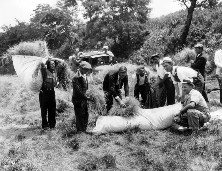 LRonLacy's tweet photo. #OTD in 1932
‘Bonus marchers gather hay for their beds in a nearby field on June 4, 1932.’
The #veterans, left jobless by the #GreatDepression, were in Washington DC to demand from Congress immediate payment of bonuses for service in WW I set to mature only in 1945.
#BonusMarch https://t.co/yn4utGFg9J